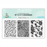Set de tampons clear 3 fleuris - 10x21cm