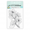 Tampon clear rameau fleuri 1 - 10x15cm